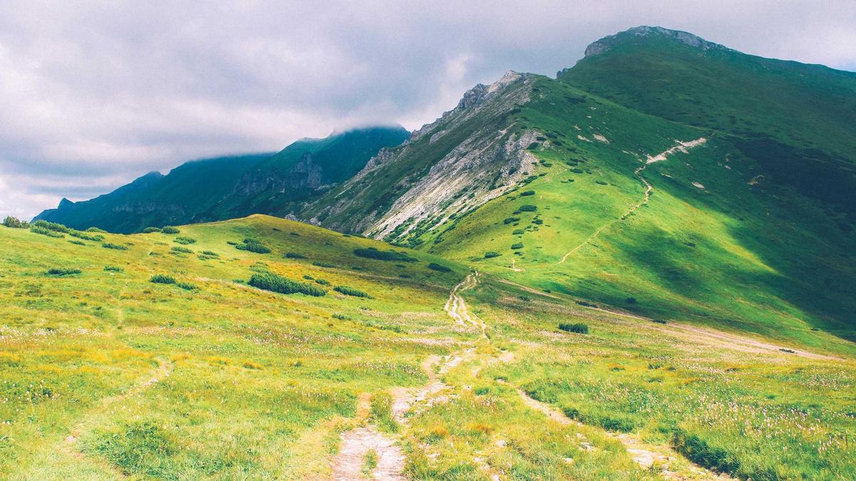 Symbolbild zum Thema Zürich Demonstration