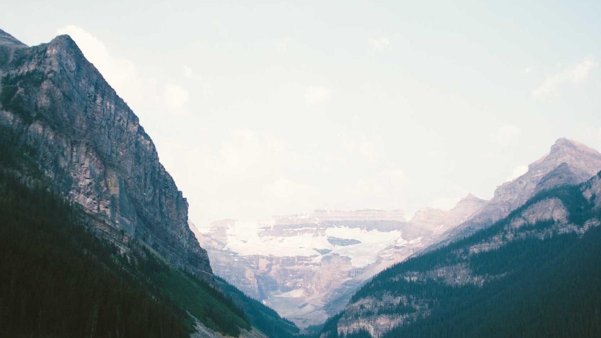 Detailansicht: Alex Restaurant Gehalt