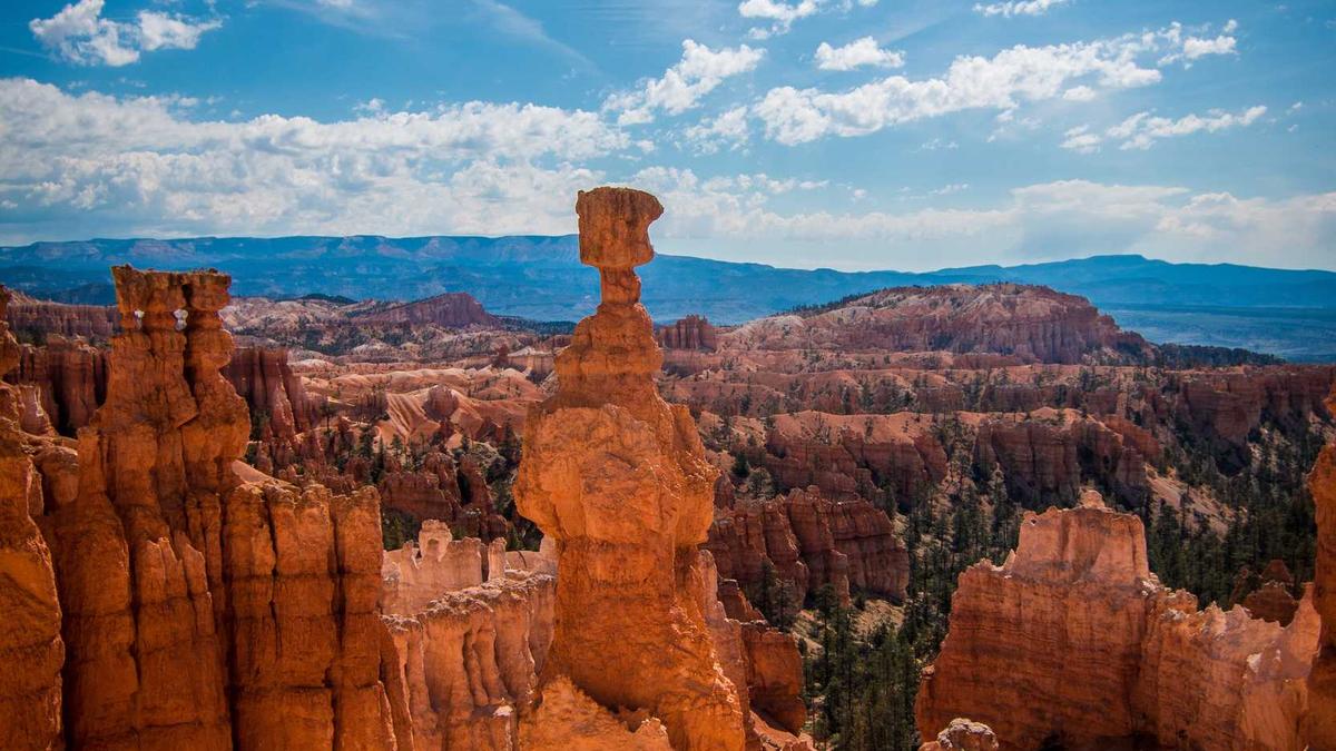 Detailansicht: Aprilscherze