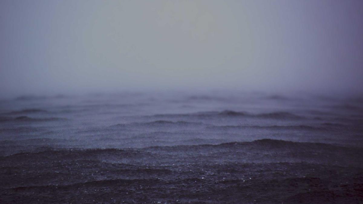 Detailansicht: Buckelwal Timmy Ostsee