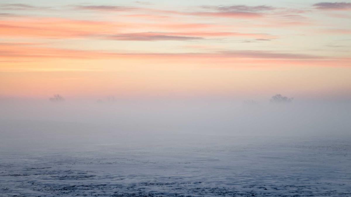 Detailansicht: Buckelwale Ostsee