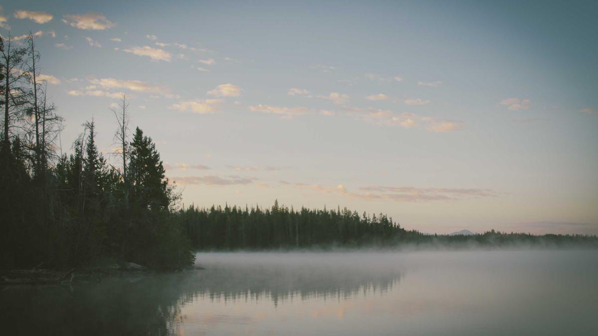 BYD Brand Parkhaus Detailansicht: BYD Brand Parkhaus