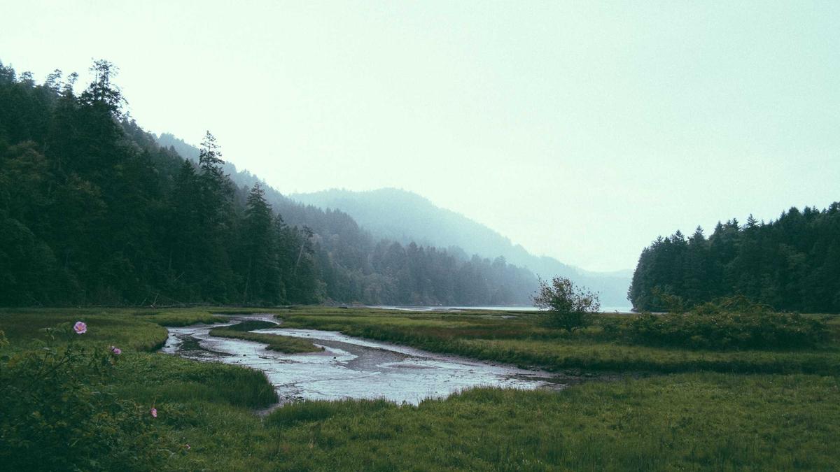 Illustration zu Camille Rast