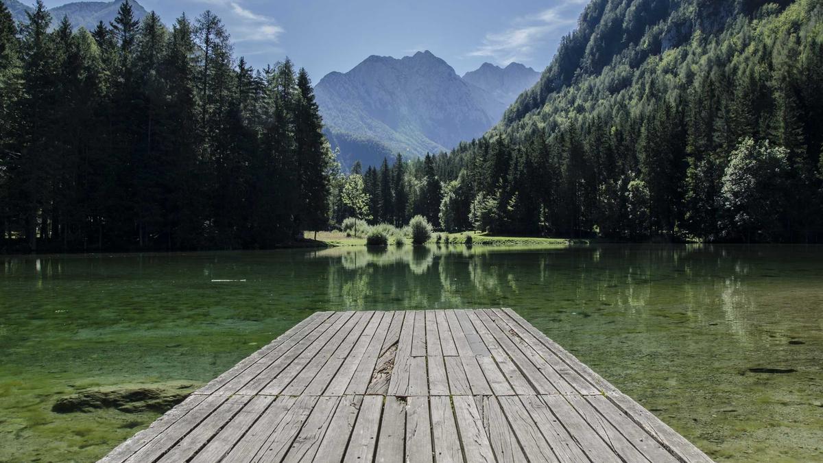 Dahoam Is Dahoam Vorschau Detailansicht: Dahoam Is Dahoam Vorschau