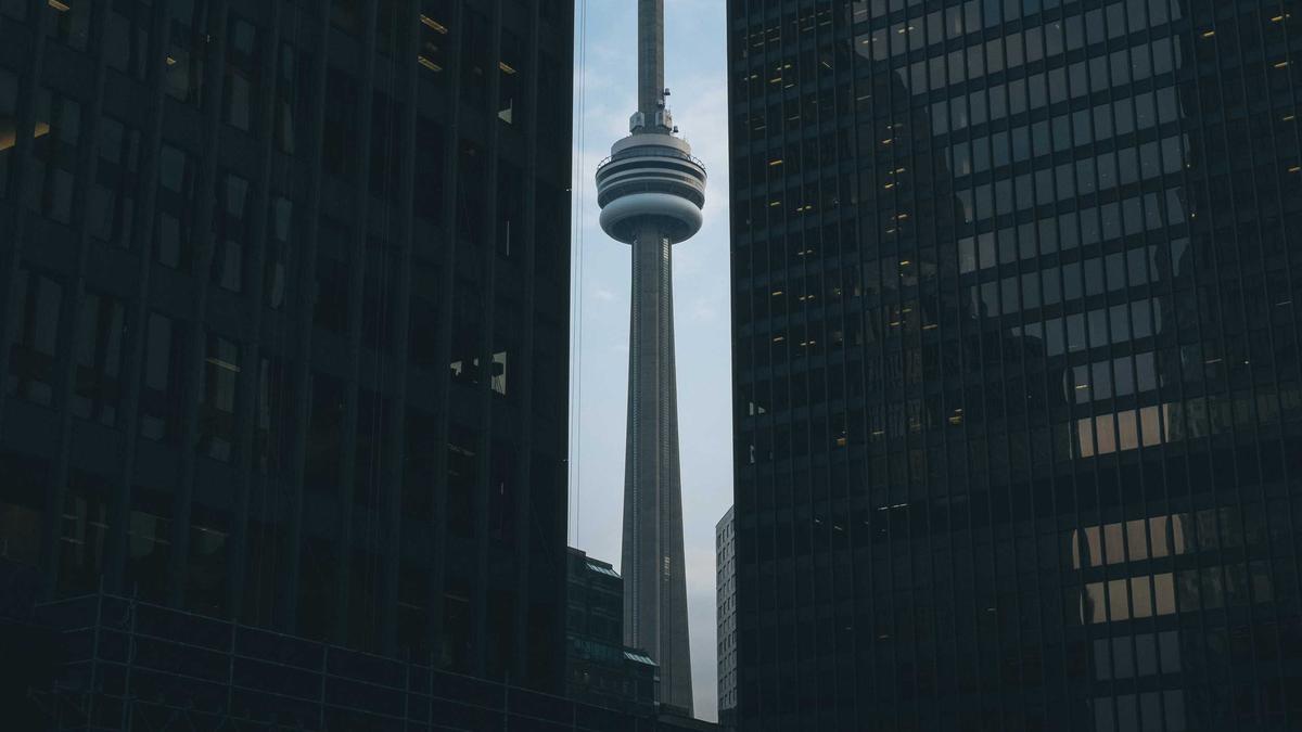 Illustration zu David Hasselhoff