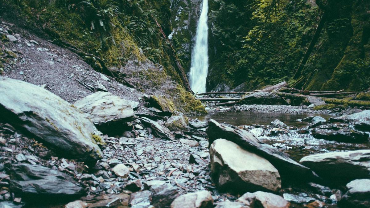 Symbolbild zum Thema Der Spion Von Nebenan