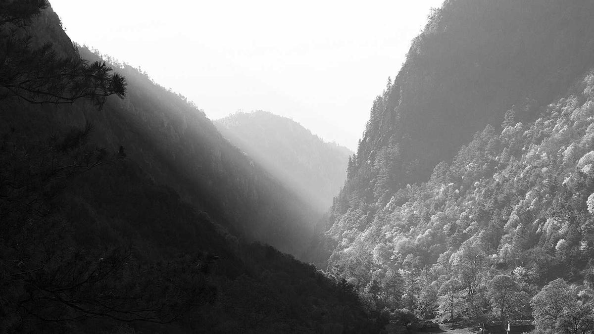 Detailansicht: Die Notaerztin