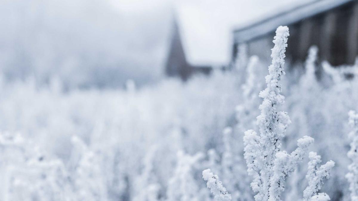 Symbolbild zum Thema Dieselpreise Aktuell