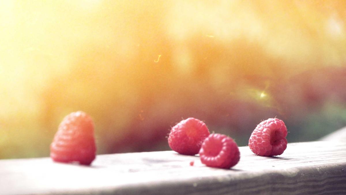 Symbolbild zum Thema Dynamo Dresden Abwehr