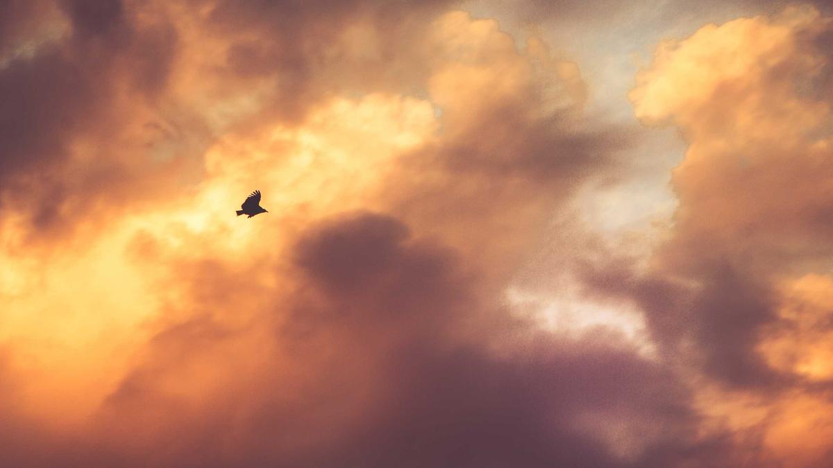 Detailansicht: Eisheiligen Wetter