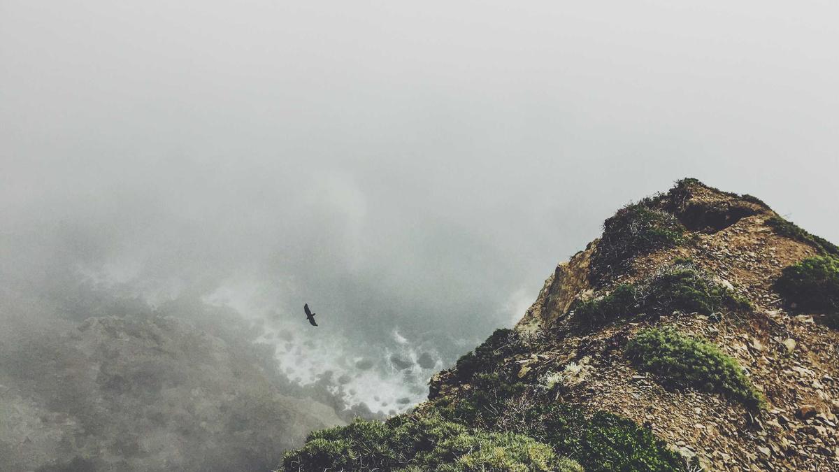 Ekitike Verletzt Illustration zu Ekitike Verletzt