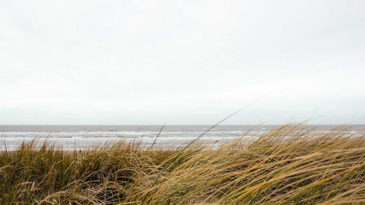 Symbolbild zum Thema Fallen Die Spritpreise Wieder