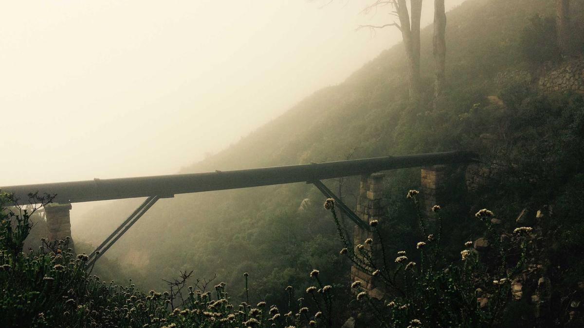 Illustration zu Franziska Van Almsick