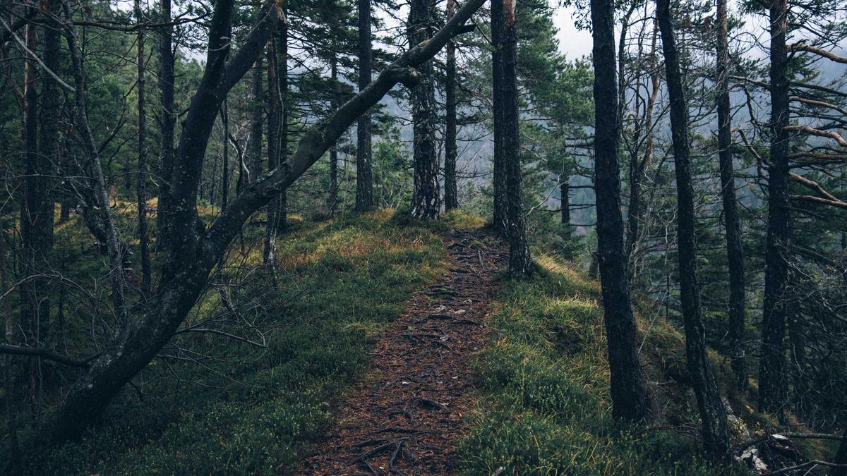 Happy Easter Symbolbild zum Thema Happy Easter