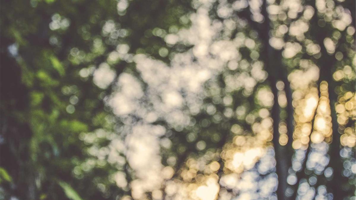 Illustration zu Henrik Kristoffersen Van Deer