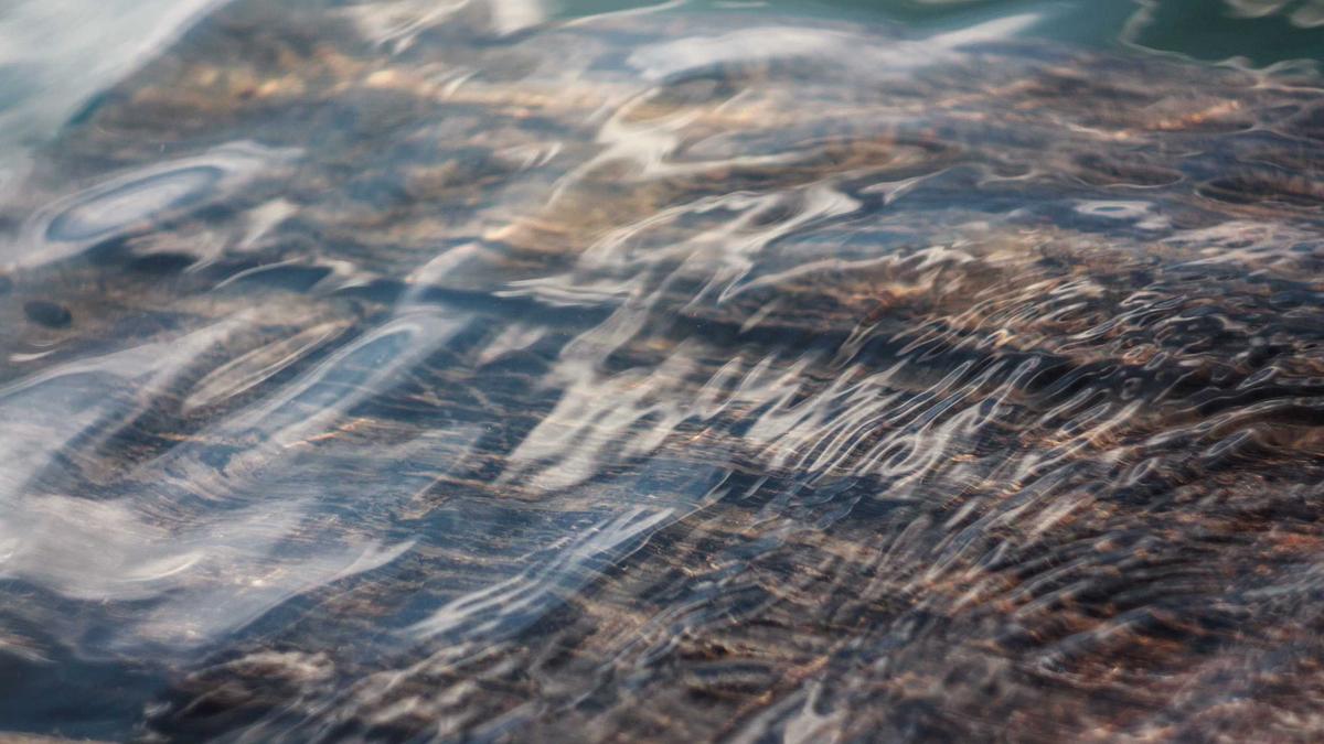 Illustration zu House Of Gucci Film