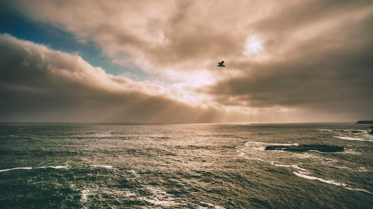 Illustration zu Insa-umfrage