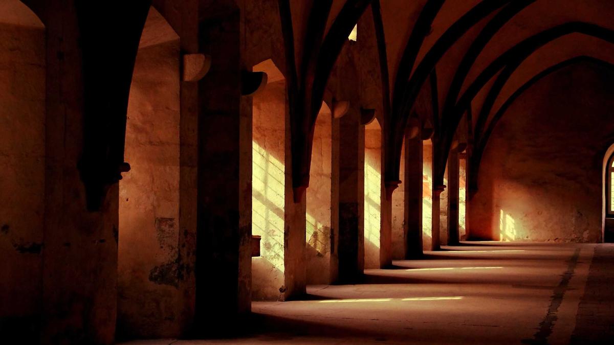 Symbolbild zum Thema Jan Löhmannsröben