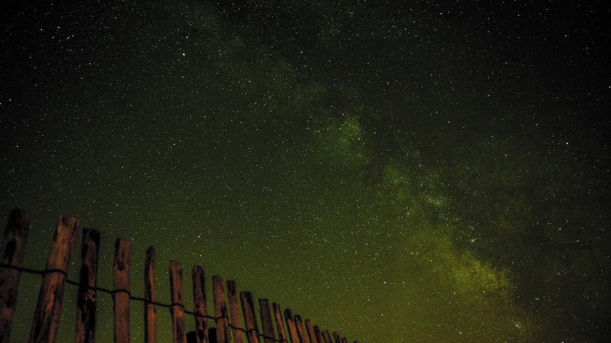 Juventus - Genoa Symbolbild zum Thema Juventus - Genoa