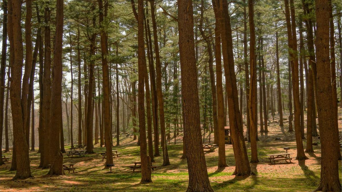 Illustration zu Kritik Queen Denkmal