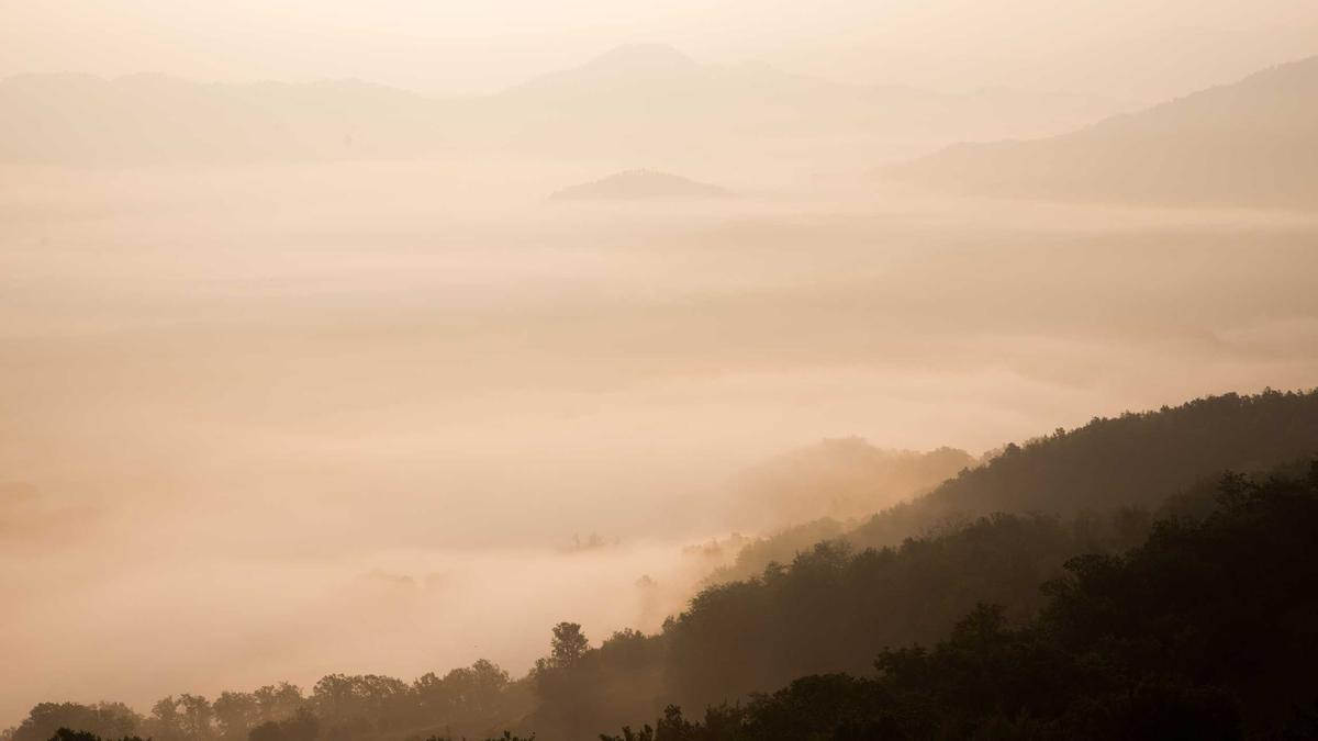 Detailansicht: Kursk Film
