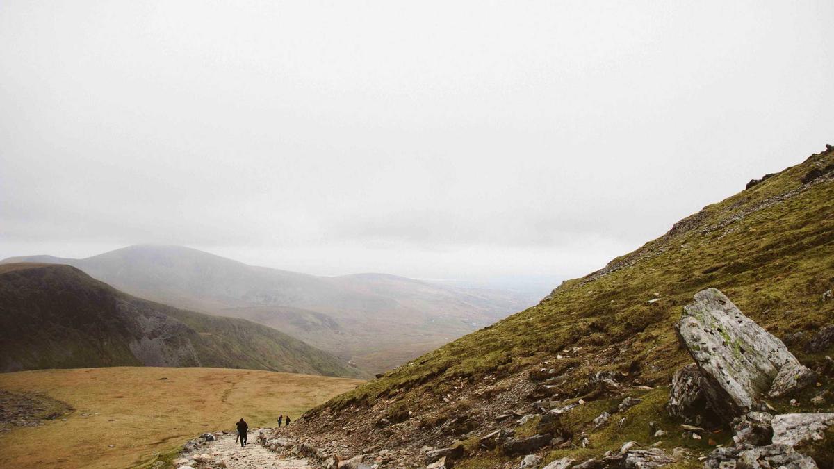 Leverkusen – Wolfsburg Illustration zu Leverkusen – Wolfsburg