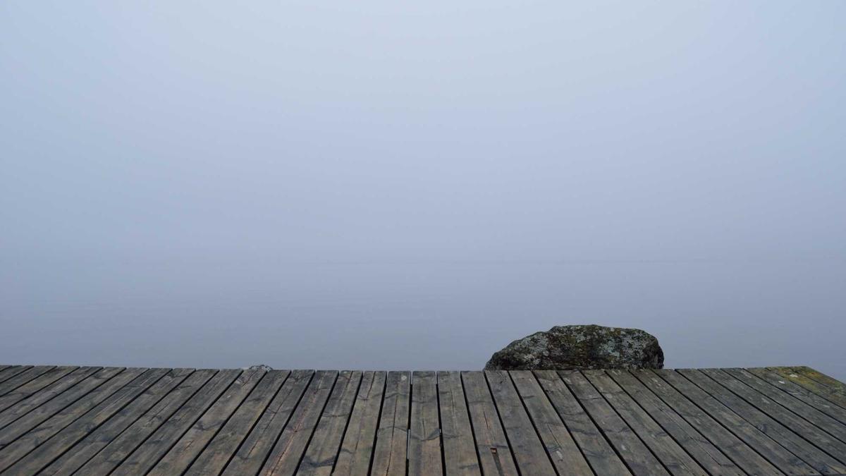Symbolbild zum Thema Maikäfer Massenflug