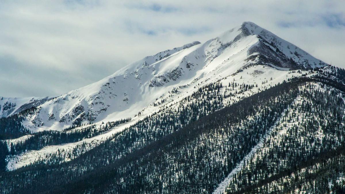 Symbolbild zum Thema Mammoth – Golden Knights