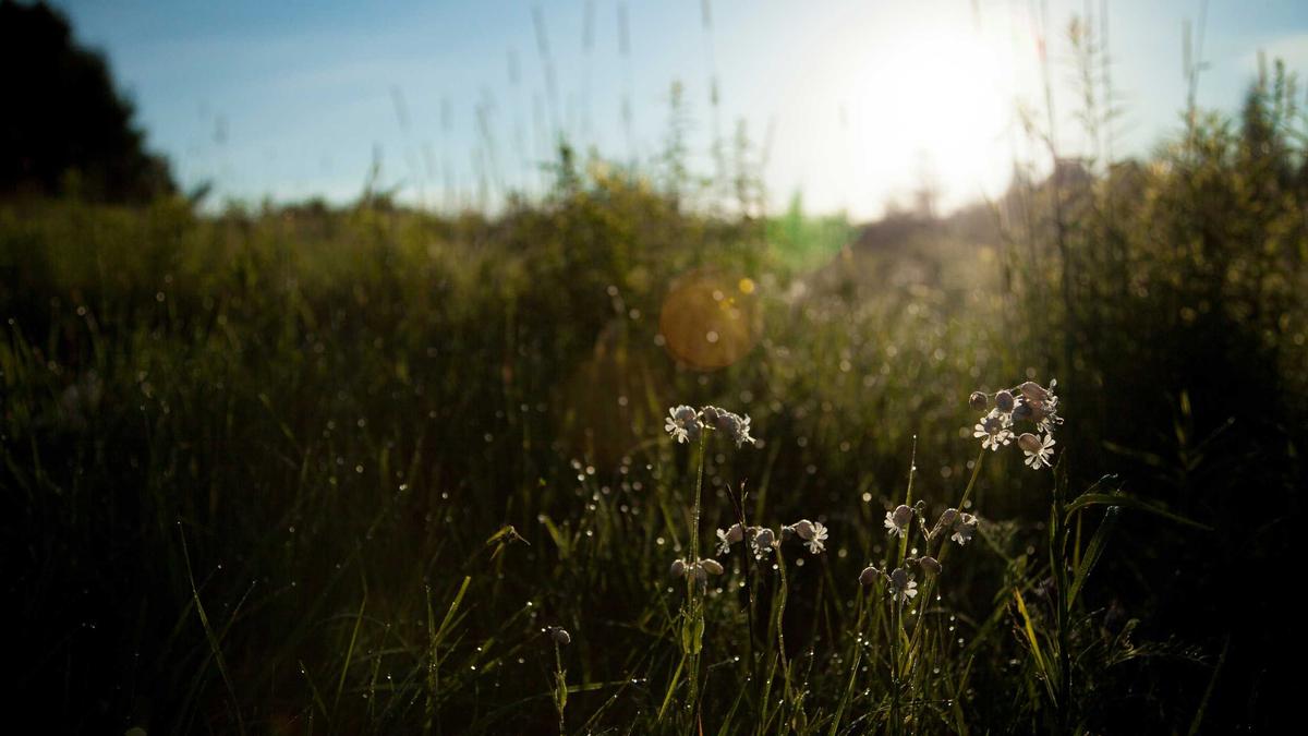 Michael Jackson Klage Symbolbild zum Thema Michael Jackson Klage