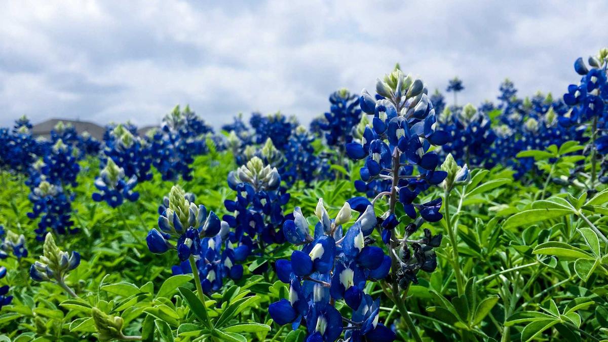 Symbolbild zum Thema Michael Unterbuchner