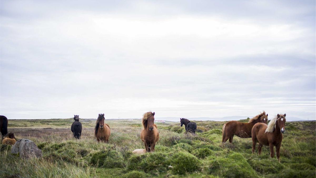 Detailansicht: Moon Ball