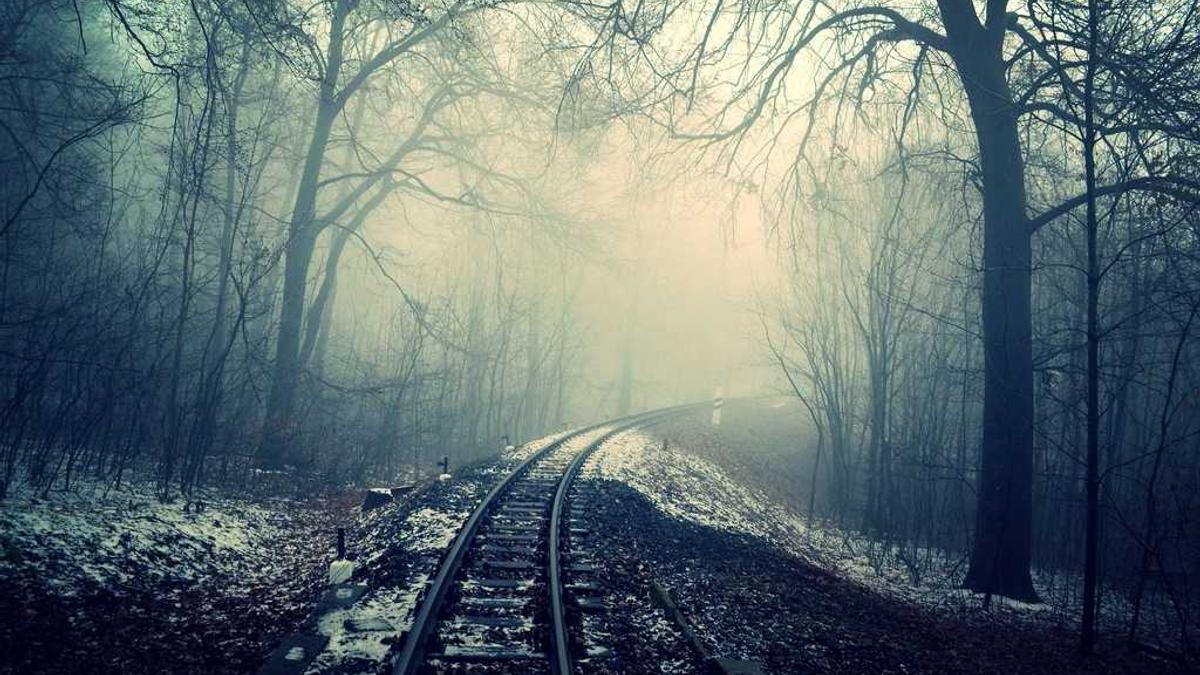 Detailansicht: Morgenstern Mehr