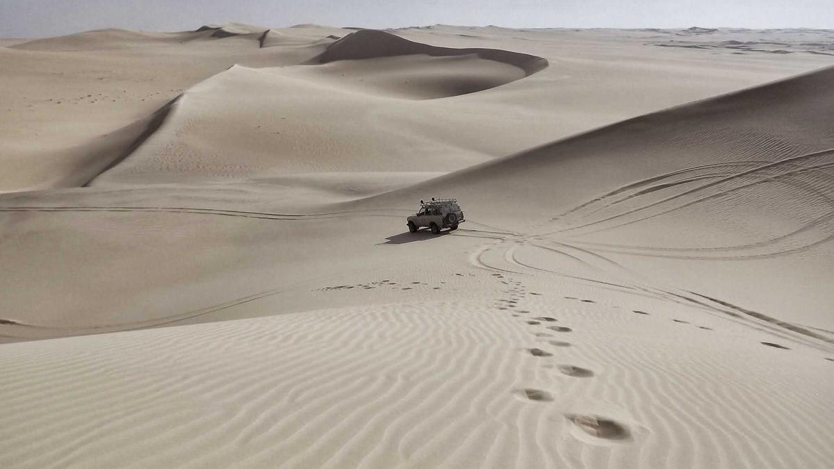 Symbolbild zum Thema Neos Zerrissenheit