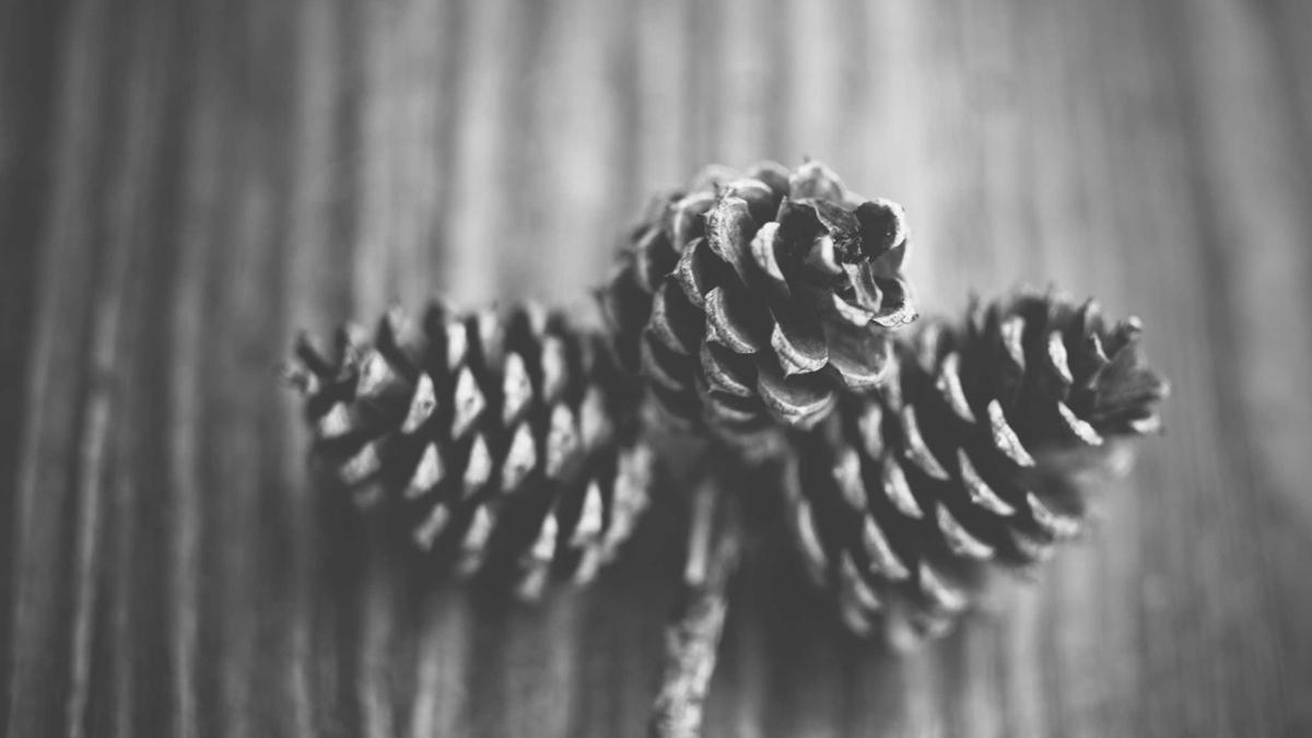 Symbolbild zum Thema Netflix Wochenende