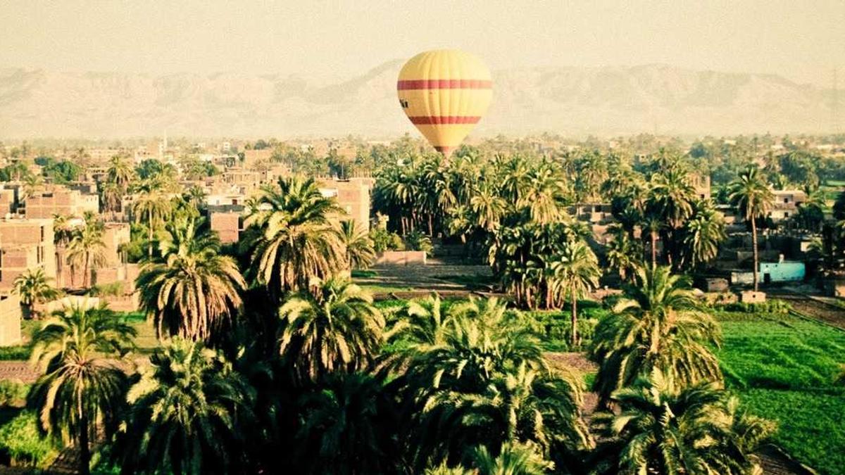 Illustration zu PSG – Lyon