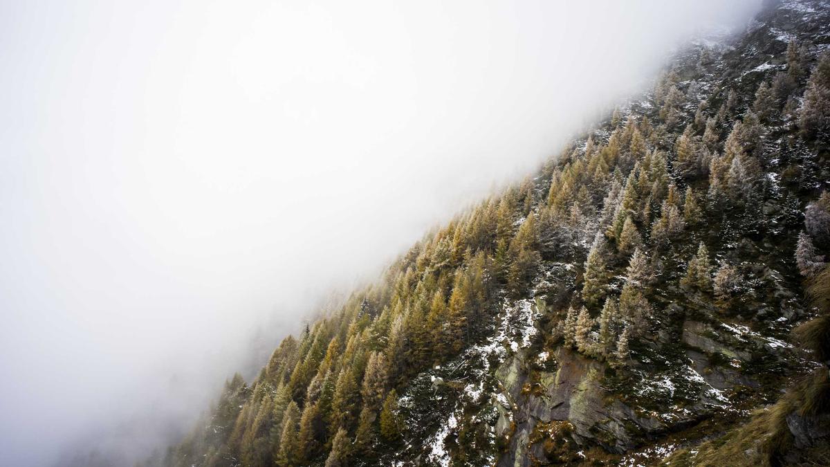 Detailansicht: PSG – Toulouse