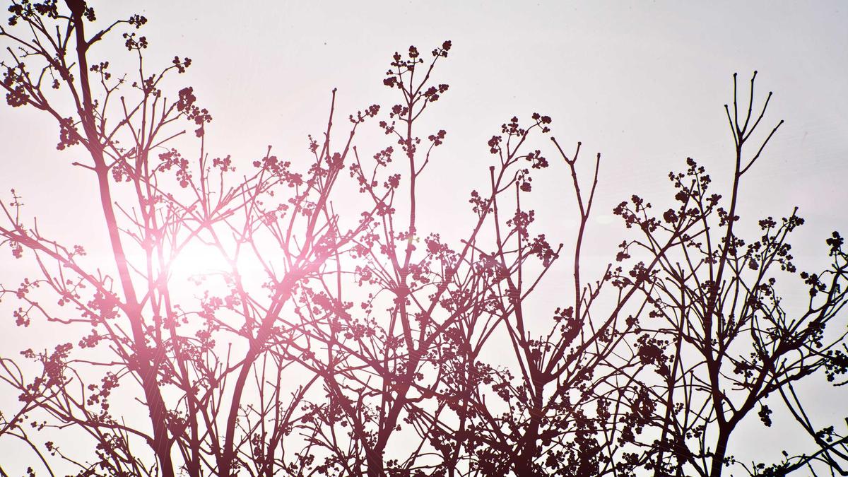 Detailansicht: Ready Or Not Film