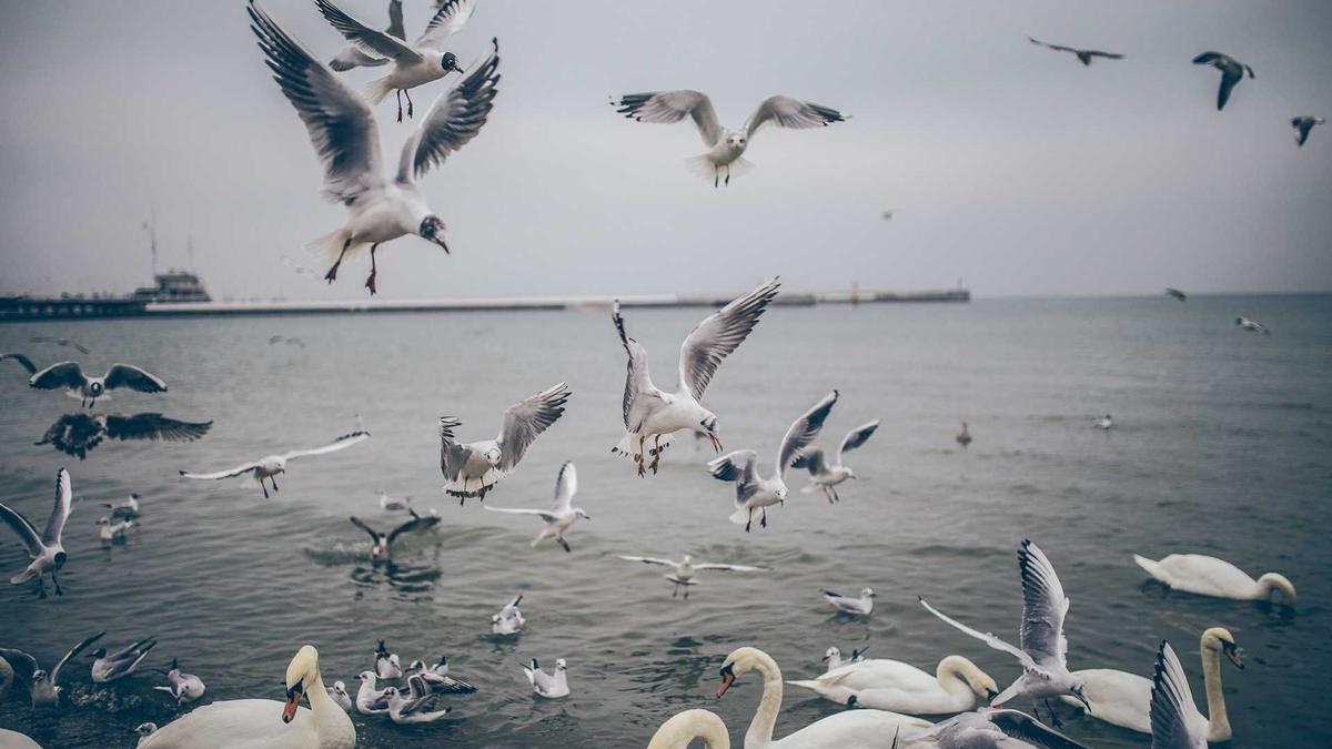 Symbolbild zum Thema Real Bayern