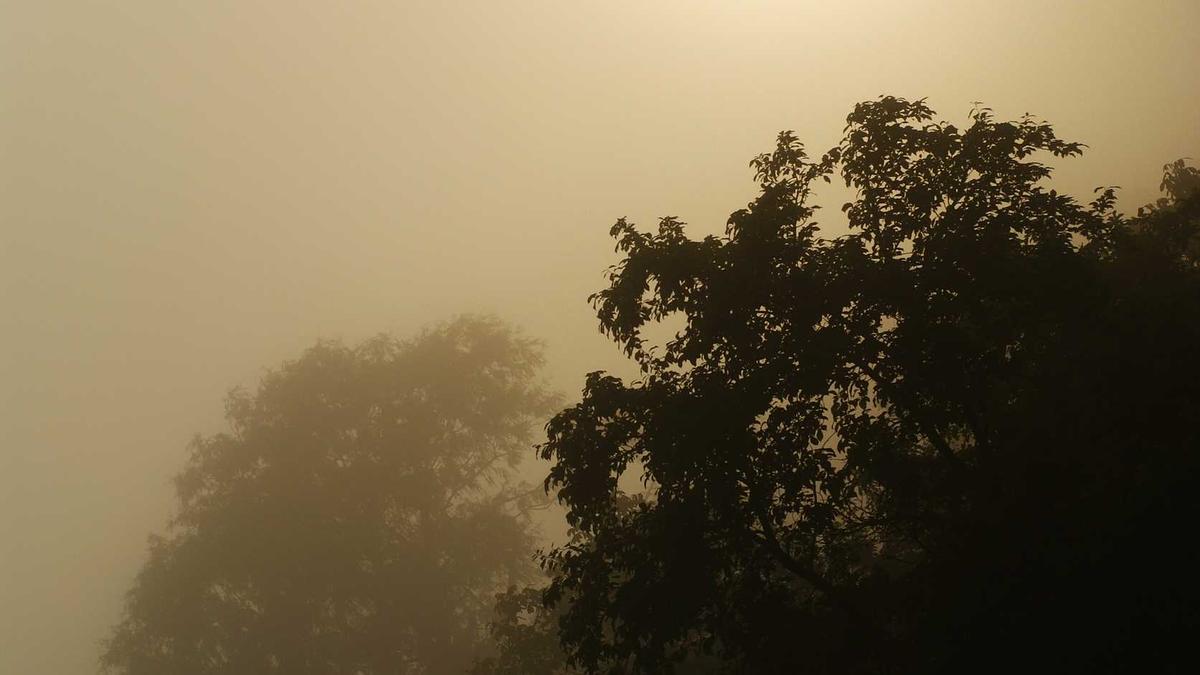 Symbolbild zum Thema Roman Rafreider