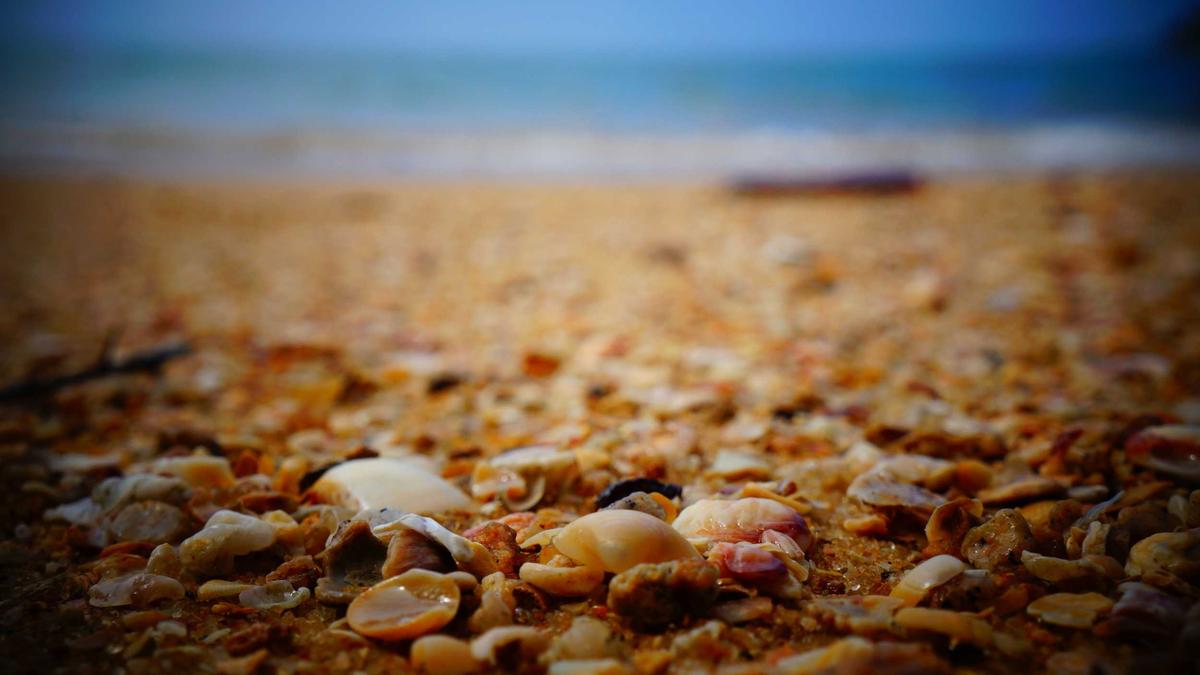 Detailansicht: Roman Rafreider