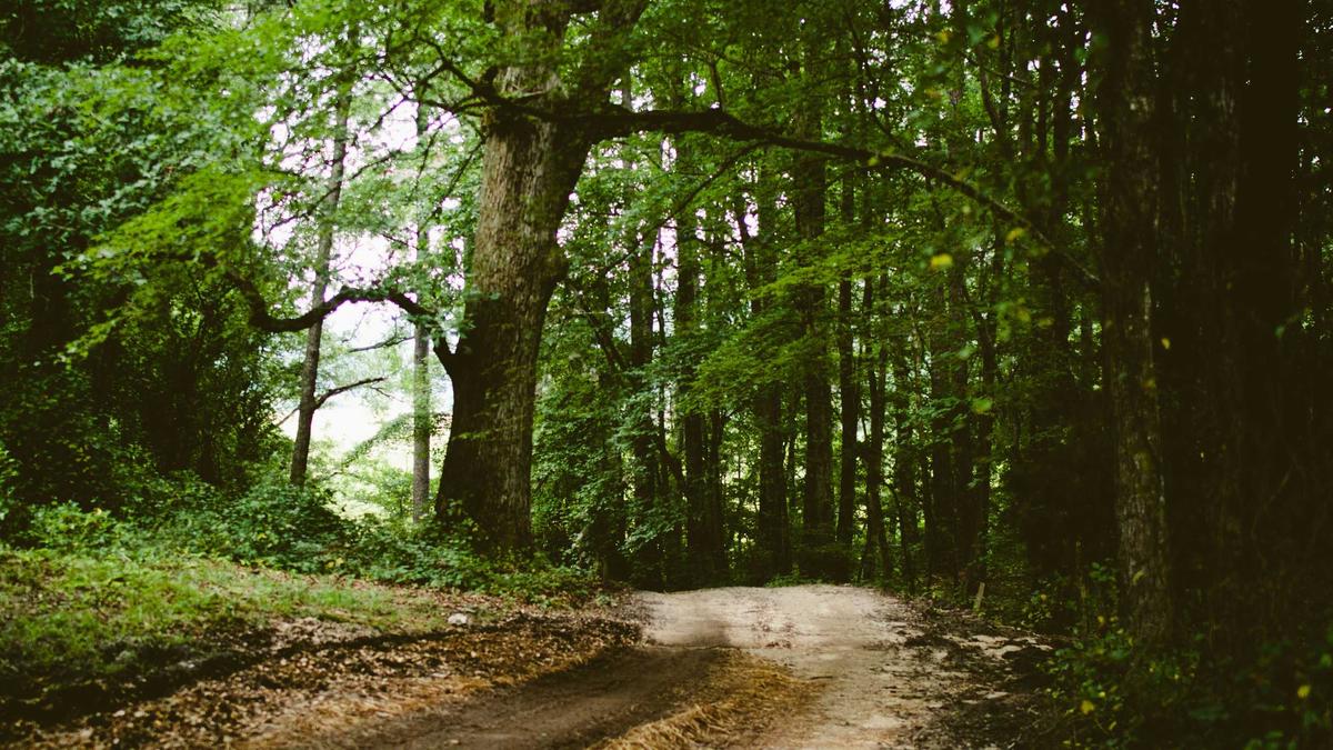 Salzburg Symbolbild zum Thema Salzburg