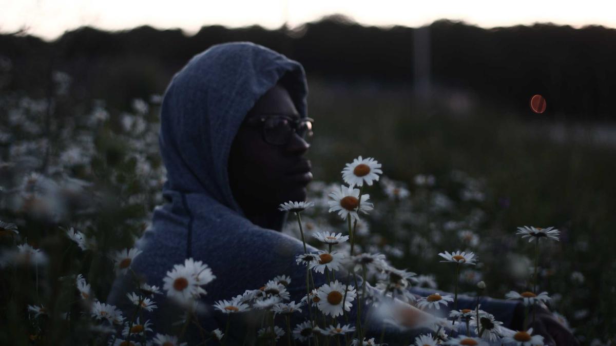 Symbolbild zum Thema Stern Quiz