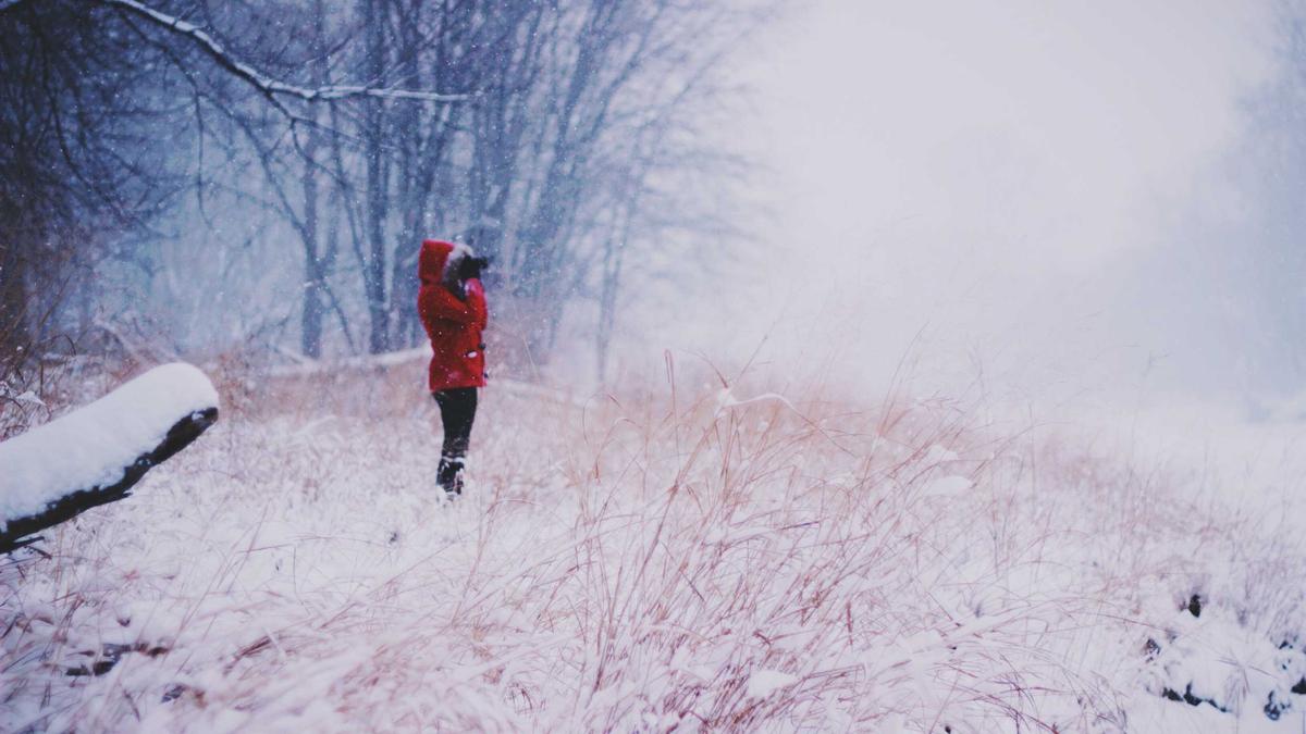 Illustration zu Veltins Arena Leiche Gefunden