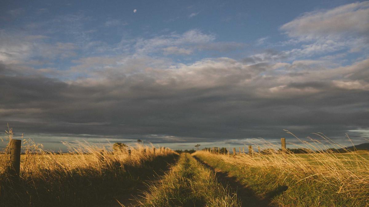 Detailansicht: Vollzeitarbeit
