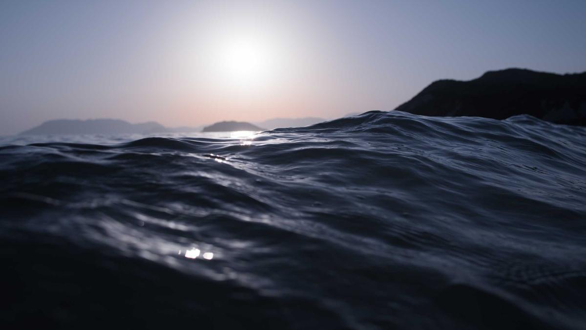 Detailansicht: Wal Ostsee Robert Marc Lehmann