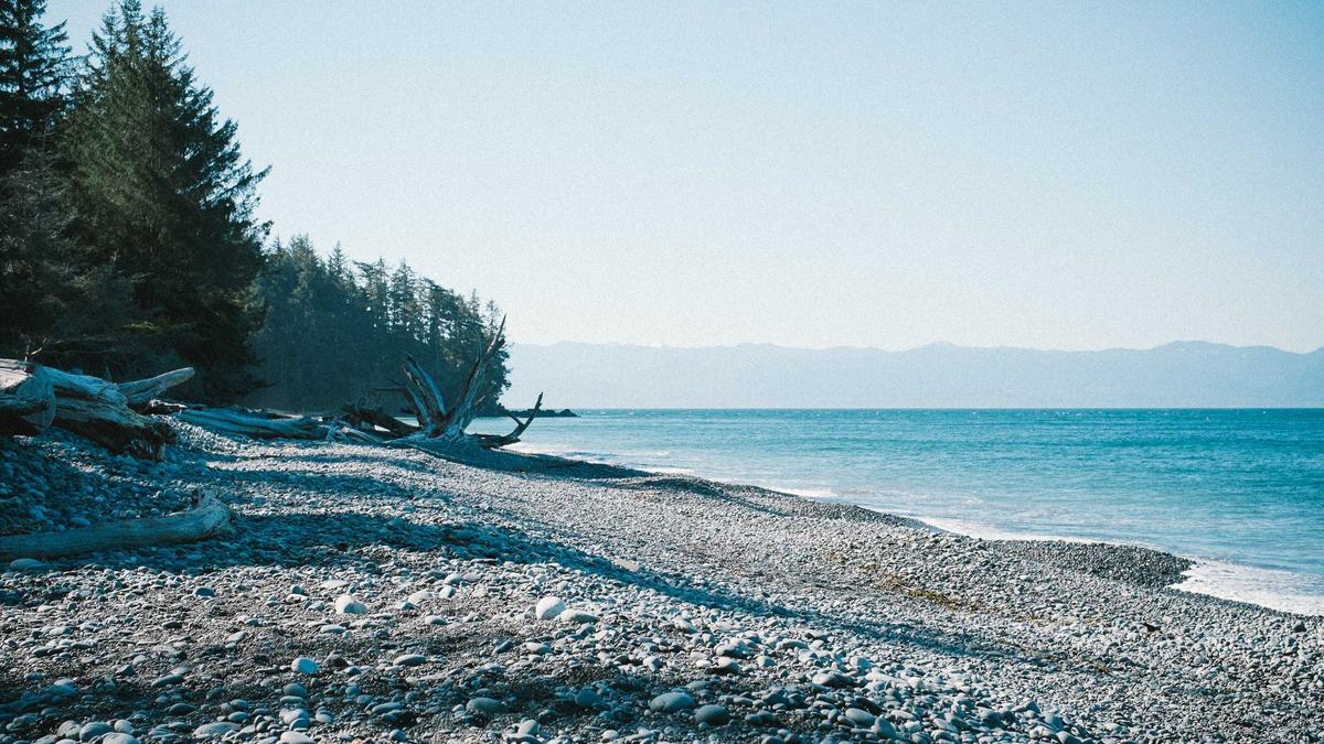 Detailansicht: Wal Strandung
