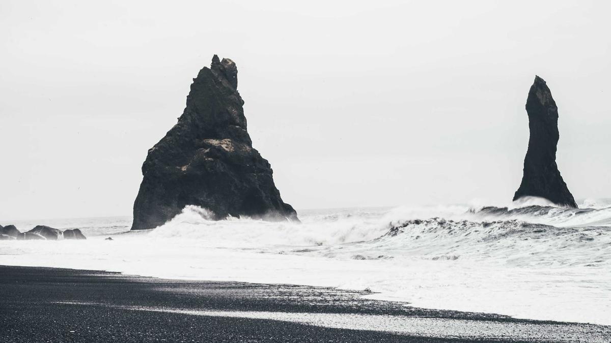 Illustration zu Weißwal