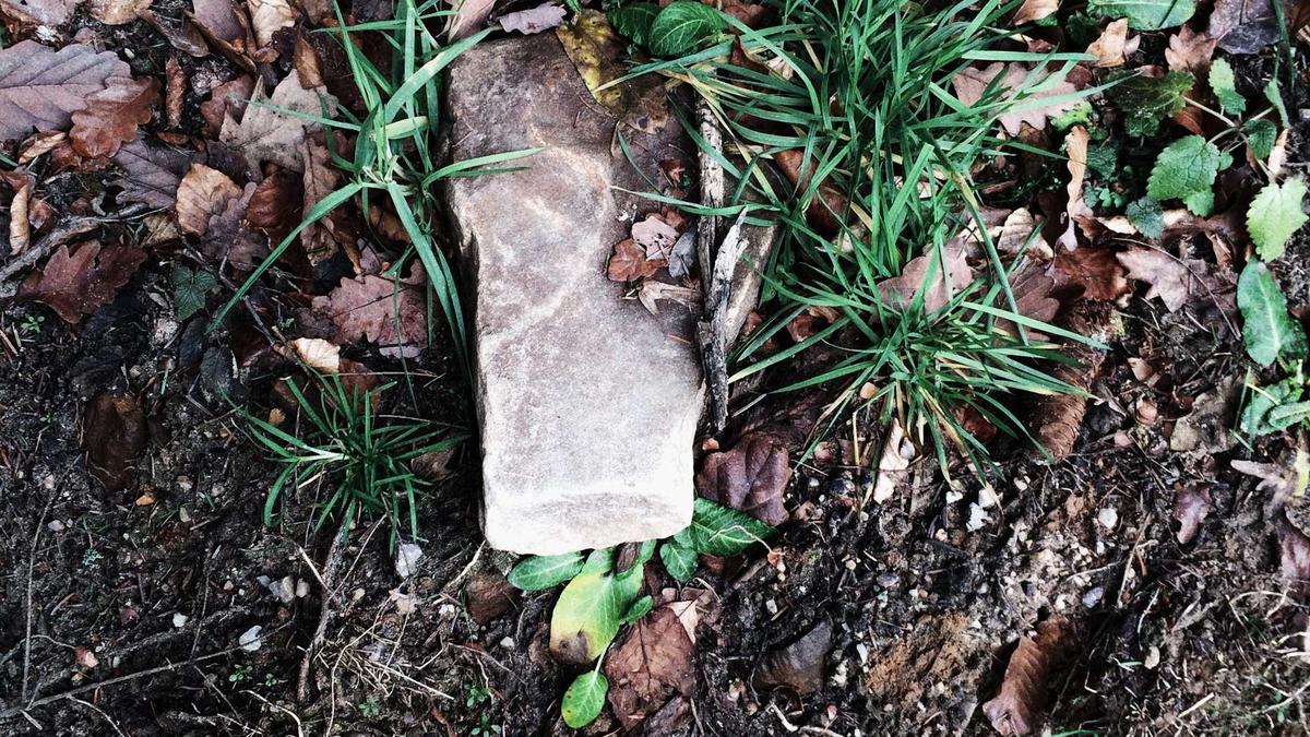 Detailansicht: Seattle Tarnung Zweiter Weltkrieg
