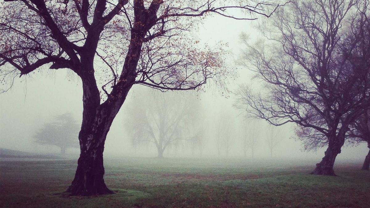Illustration zu Union Berlin Trainer