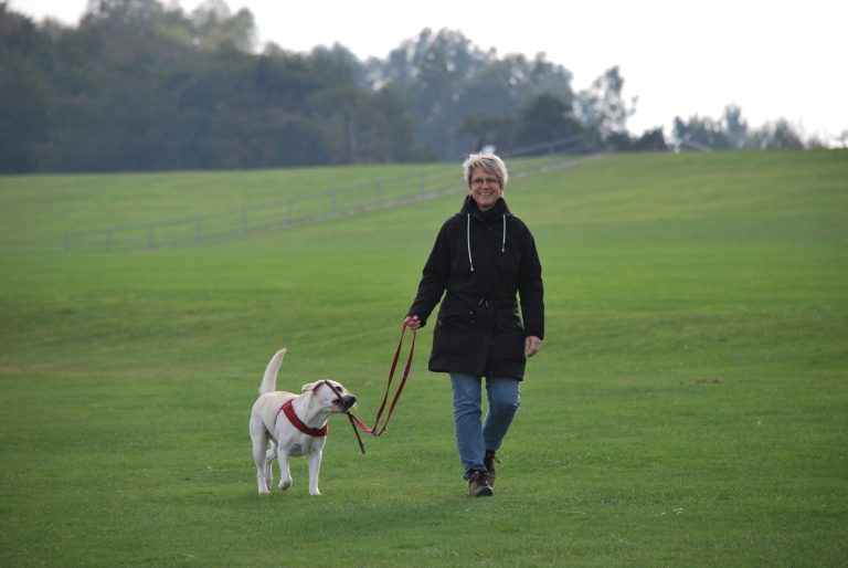Laufen mit Hund: Training, Fütterung und Regeneration für den vierbeinigen Trainingspartner